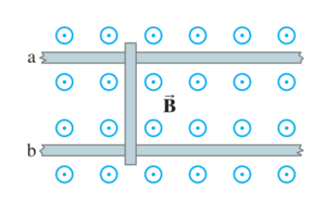 Rail in a magnetic field