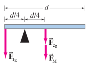 The magnetic seesaw