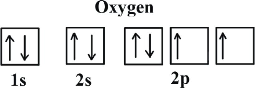 Oxygen spin